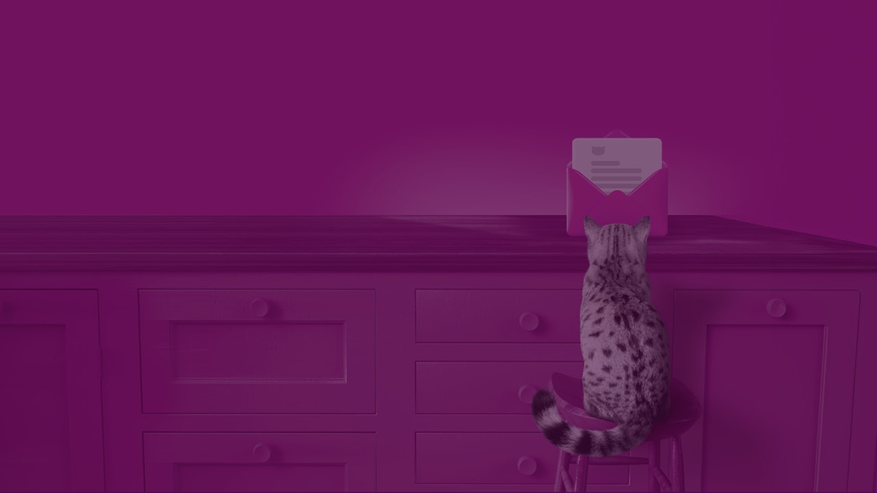 newsletter popup