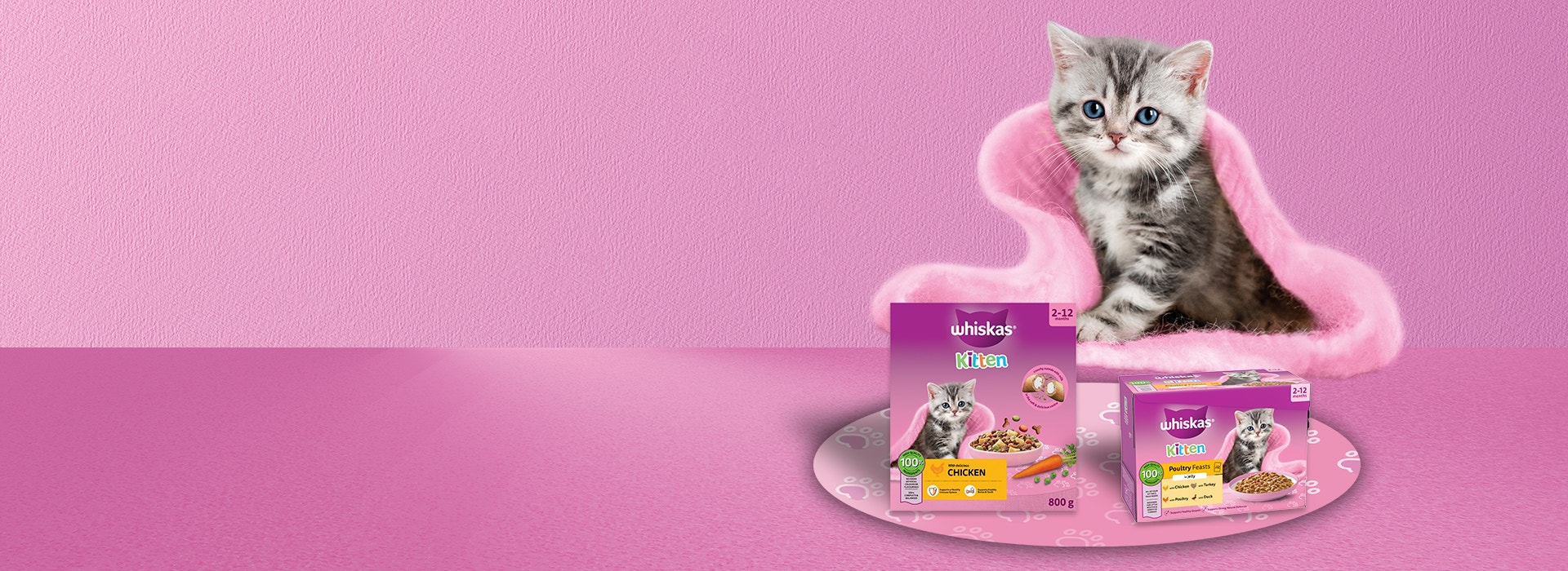 Kitten Hero Image