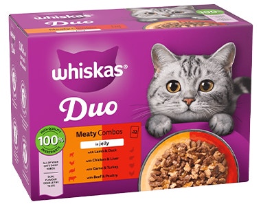 Duo Wet Food Hub