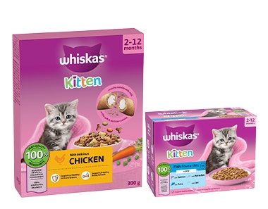 Whiskas Kitten