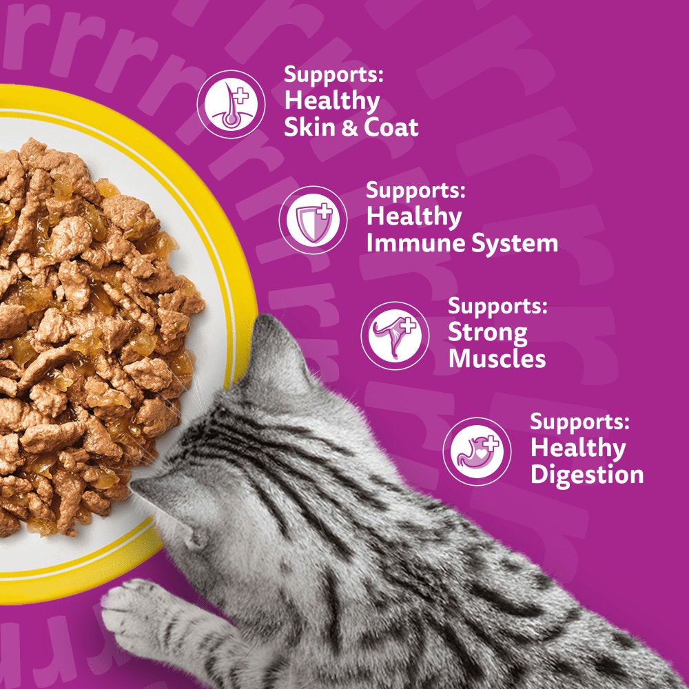 WHISKAS® 1+ Adult Wet Cat Food Pouches in Jelly with Chicken 85g - 4