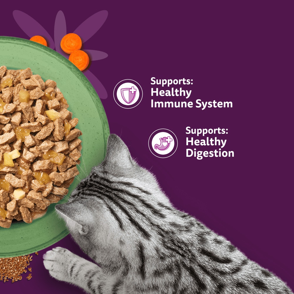 WHISKAS SUPERFOODS Mixed in Jelly Adult Wet Cat Food Pouch 6x50g, 15x50g - 4
