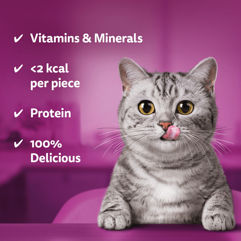 WHISKAS® TEMPTATIONS™ Adult Cat Treats with Salmon Flavour 60g - 3