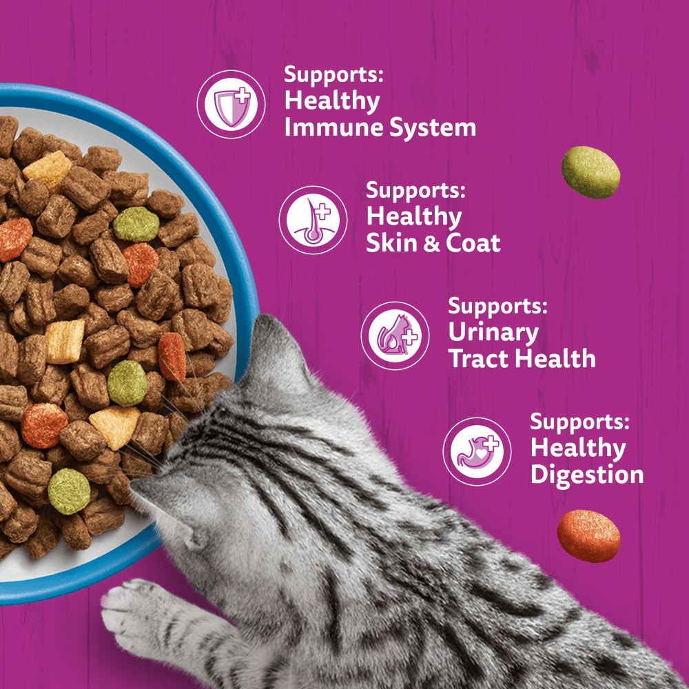 WHISKAS Cat Dry with Tuna Adult 7kg, 1.9kg, 800g, 300g - 4