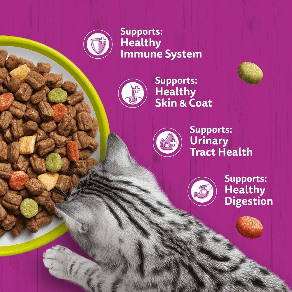 WHISKAS Cat Dry with Lamb Adult 1.9kg, 800g - 4