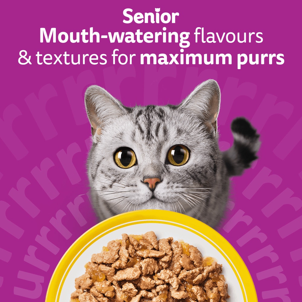 WHISKAS POULTRY FEASTS in Jelly Senior 7+ Wet Cat Food Pouch 80x85g, 40x85g, 12x85g - 2