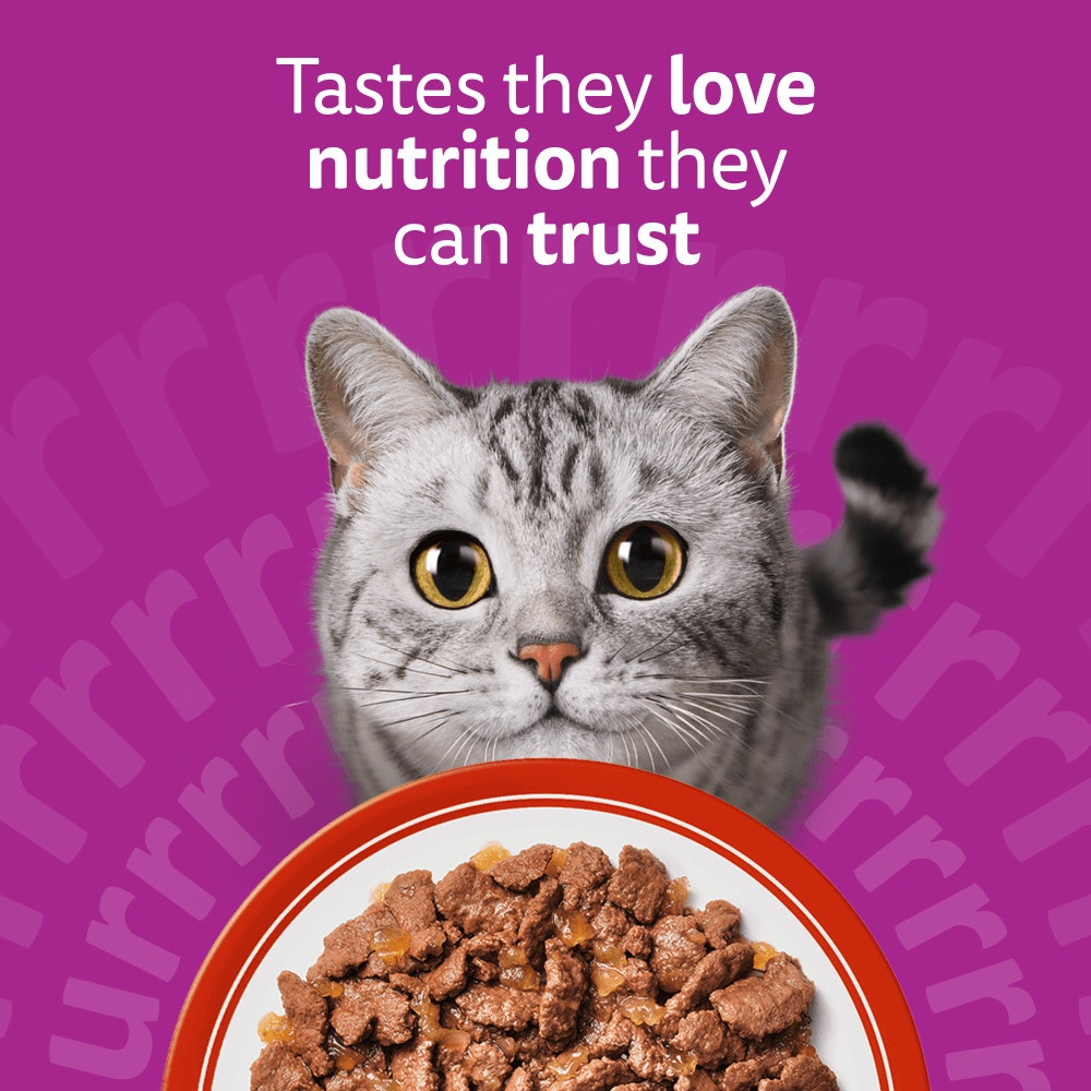 WHISKAS 1+ MEATY Meals Wet Cat Food Pouches in Jelly 12 x 85g - 2