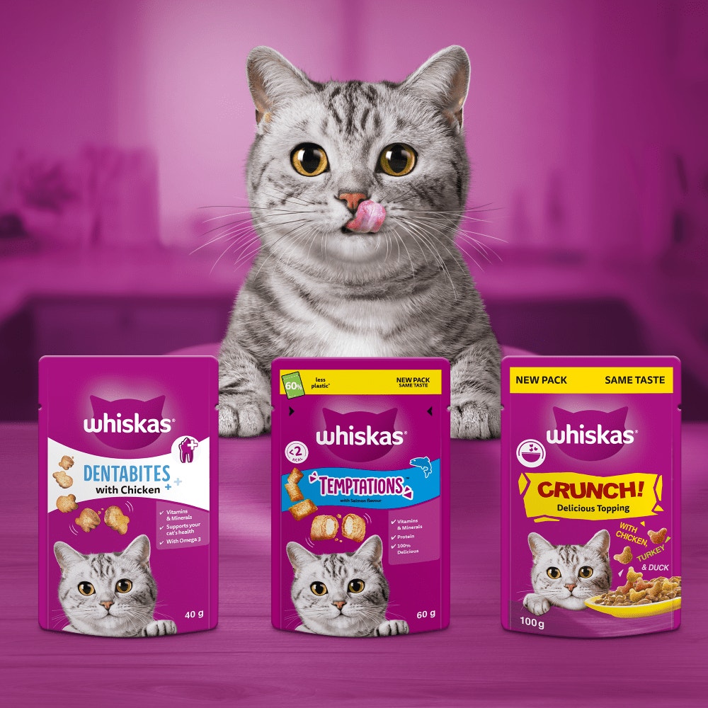WHISKAS® TEMPTATIONS™ Adult Cat Treats with Salmon Flavour 60g - 4