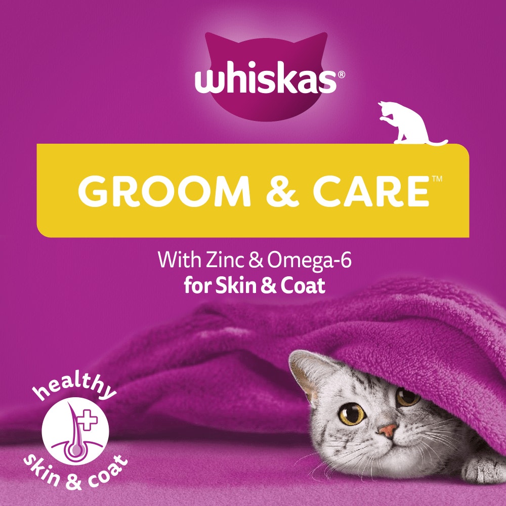 WHISKAS® Groom & Care Adult Cat Treats with Chicken 45g - 3