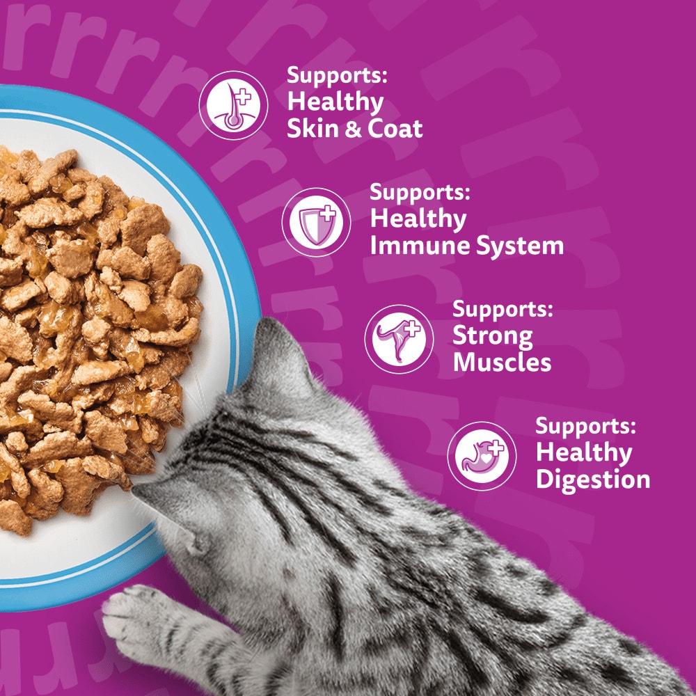 WHISKAS FISH FAVOURITES in Jelly Adult Wet Cat Food Pouch 80x85g, 40x85g, 12x85g - 4