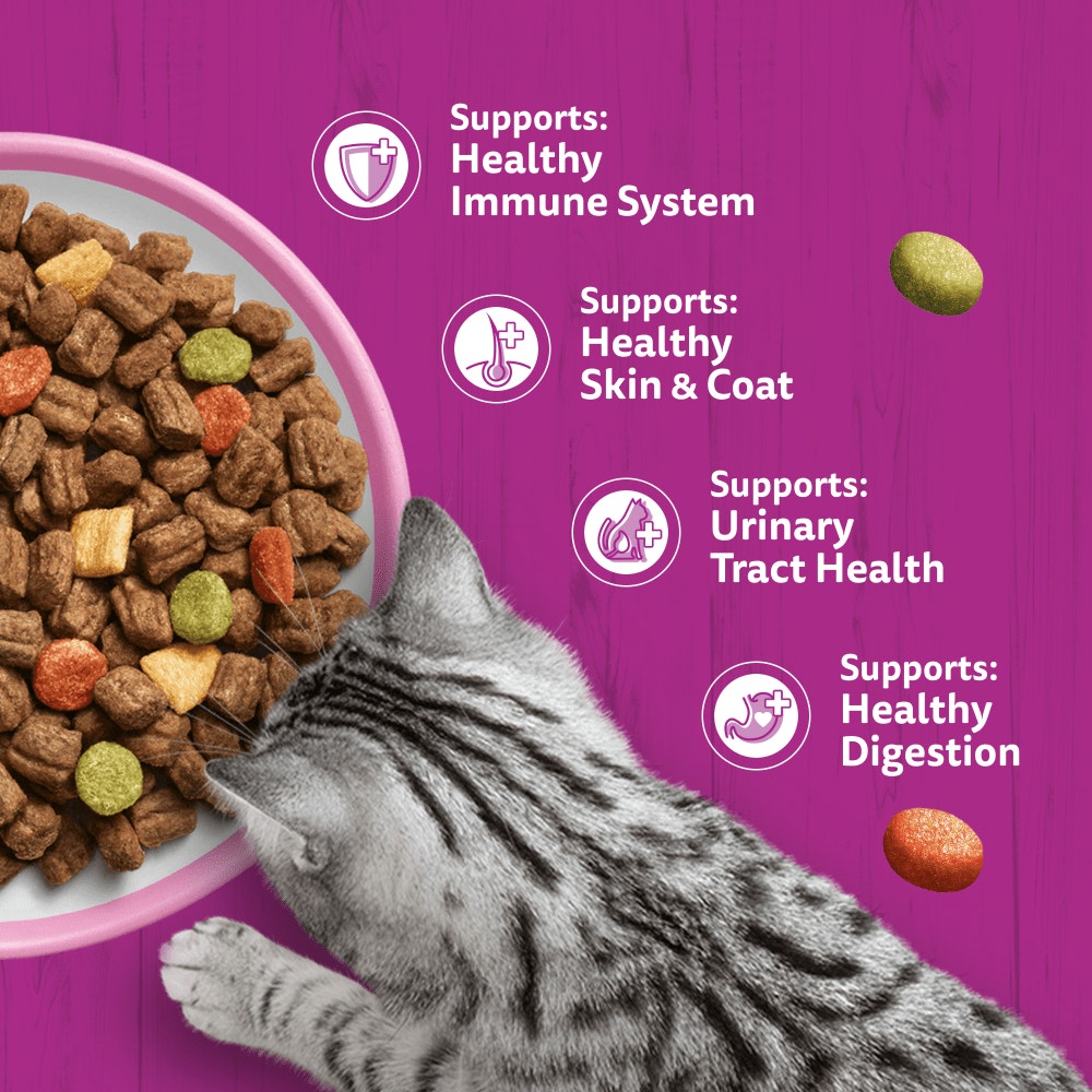 WHISKAS Cat Dry with Salmon Adult 1.9kg, 800g - 4