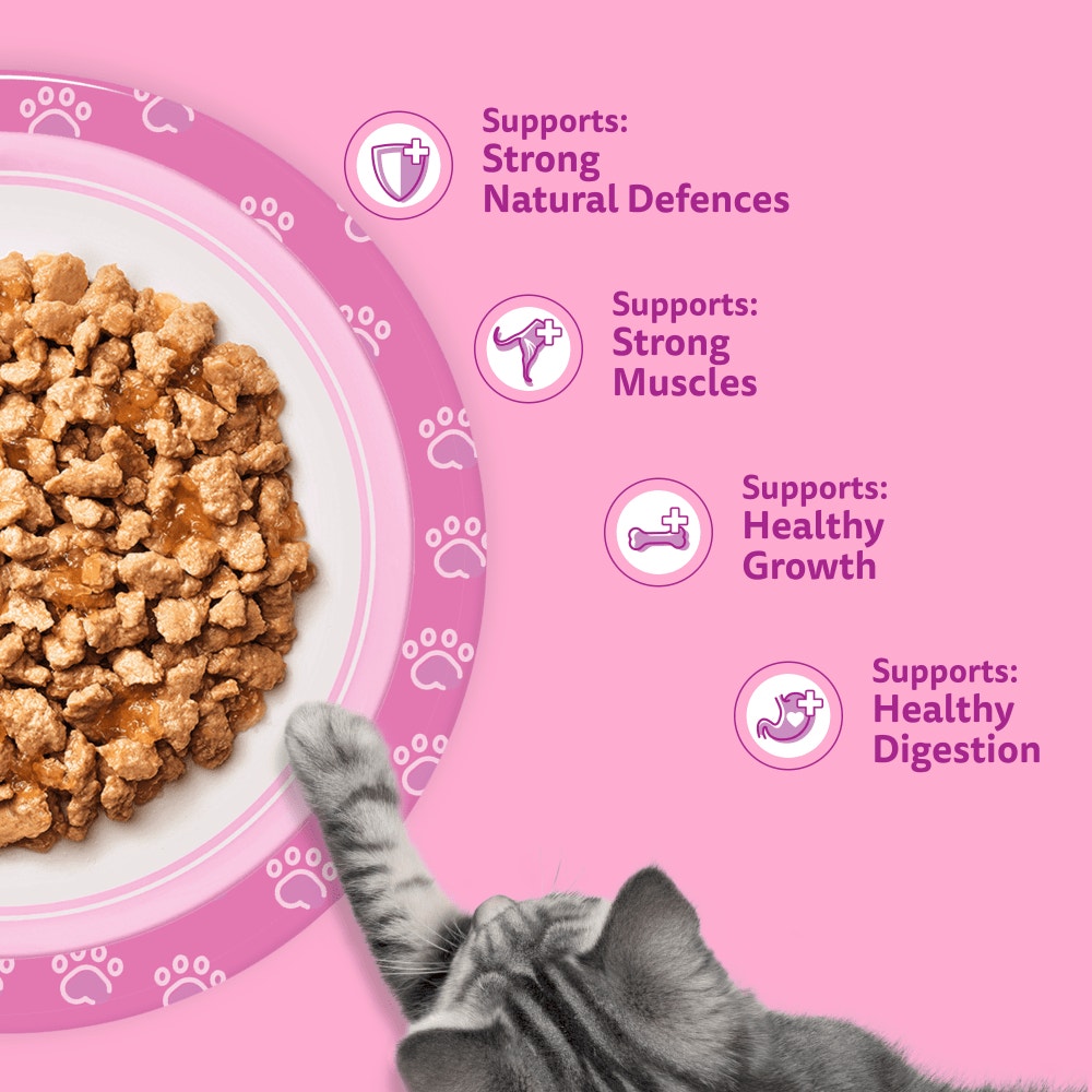 WHISKAS Kitten 2-12 mnths MIXED Menu Wet Cat Food Pouches in Jelly 12 x 85g - 4