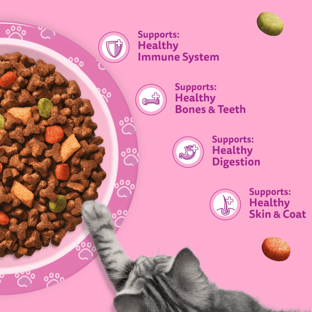 WHISKAS Cat Dry with Chicken Kitten 2-12 Months 7kg, 1.9kg, 800g, 300g - 4