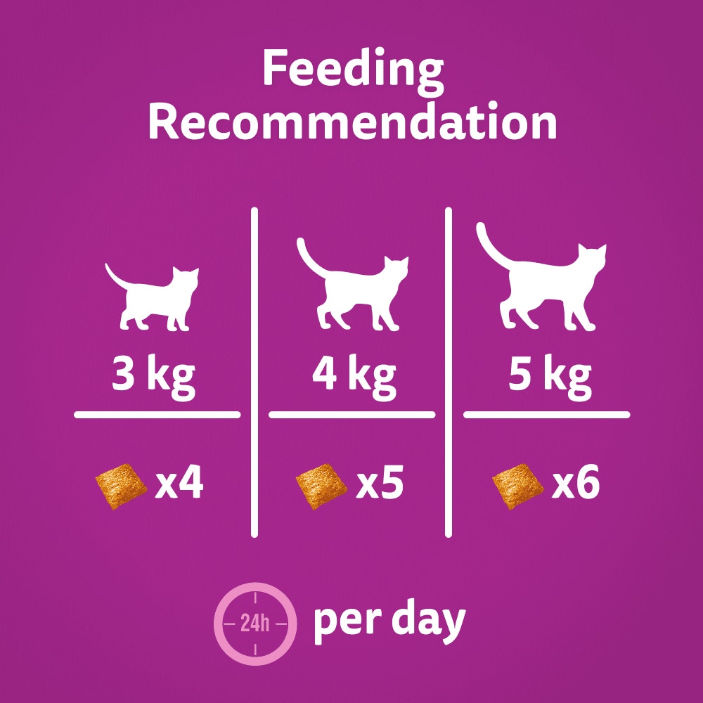 Feeding Guidelines