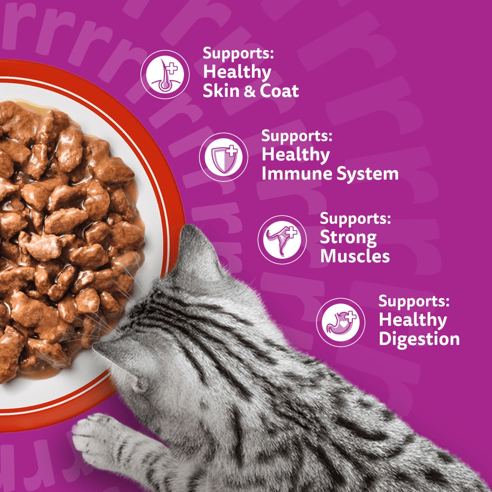 WHISKAS® 1+ Meaty Meals Adult Wet Cat Food Pouches in Gravy 12x85g, 80x85g - 4