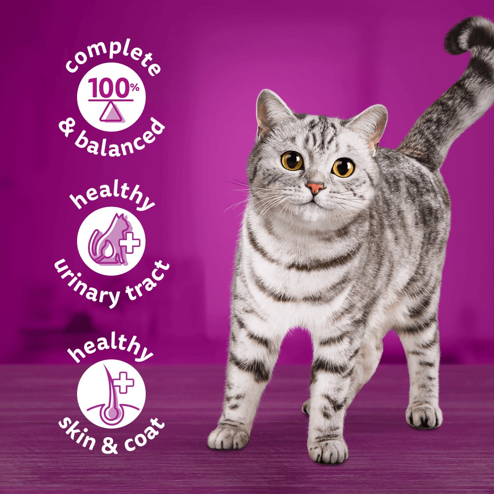 WHISKAS® Adult Wet Cat Food Chicken in Jelly Tin 400g - 3