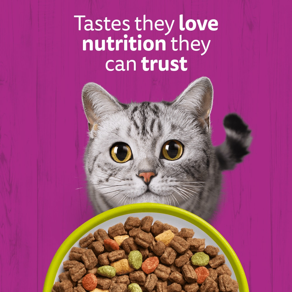 WHISKAS Cat Dry with Lamb Adult 1.9kg, 800g - 2