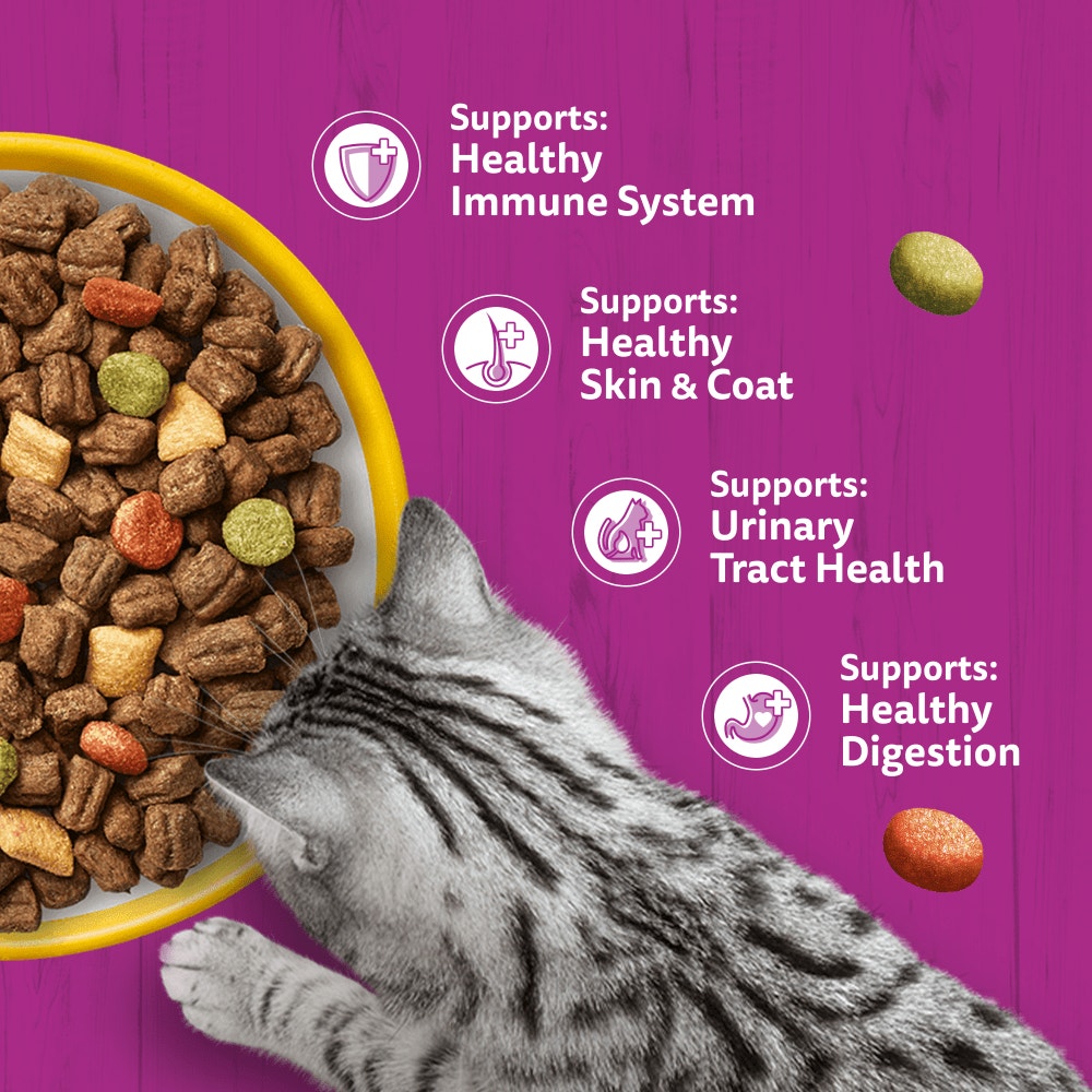 WHISKAS Cat Dry with Chicken Adult 7kg, 3.8kg, 1.9kg, 800g, 300g - 4