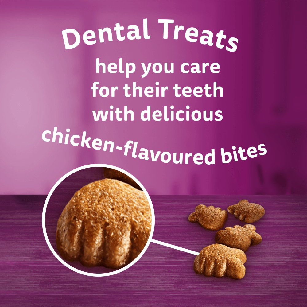 WHISKAS Dentabites Adult Cat Treats with Chicken 120g, 40g - 2