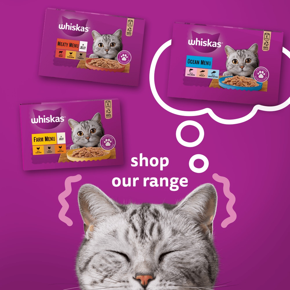 WHISKAS® Meaty Menu Adult Wet Cat Food in Jelly Tin 6x400g - 4
