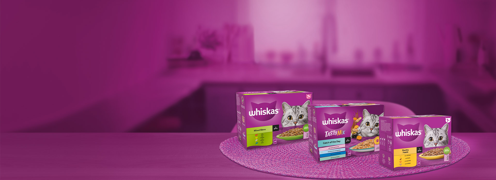 Wet Cat Food in Gravy