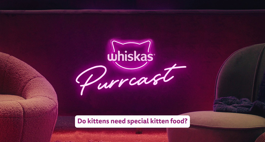 Do kittens need special kitten food?